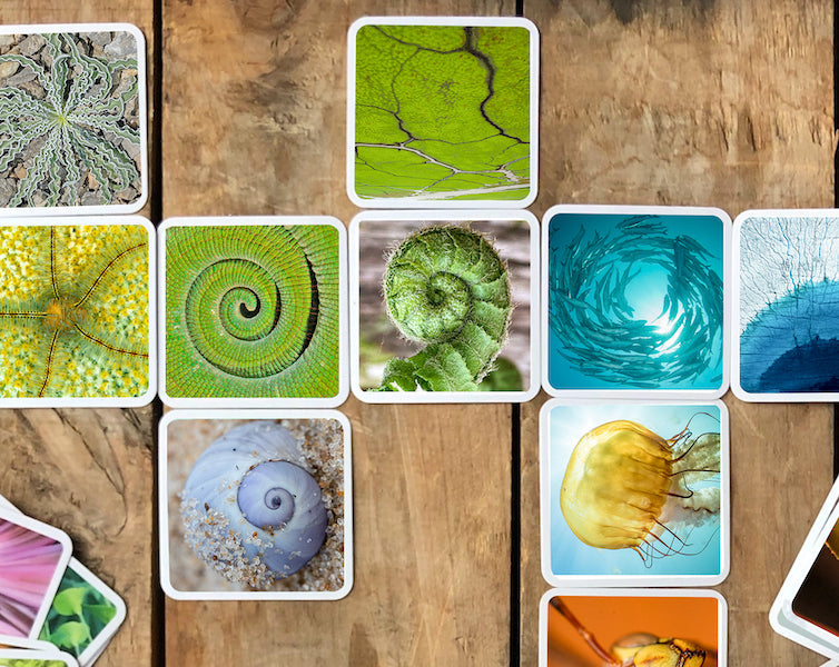 A game of OuiSinoes, one of 14 activities found in the guide.